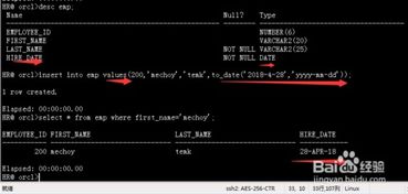 Oracle DML數(shù)據(jù)修改與事務處理 在線數(shù)據(jù)處理與交易處理的基石